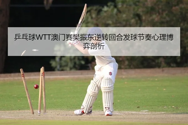 乒乓球WTT澳门赛樊振东逆转回合发球节奏心理博弈剖析